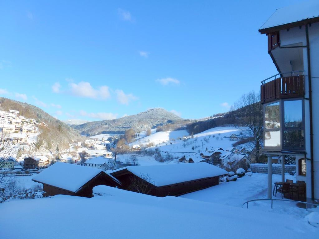 Ferienwohnung Schwarzwaldsteig Bad Peterstal-Griesbach Exterior photo